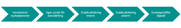 Schematisk illustration av programmet